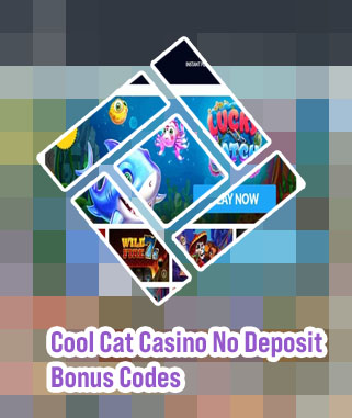 Cool cat casino free spins