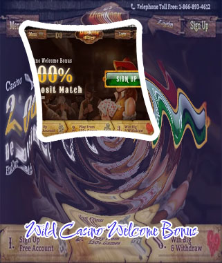 Wild casino welcome bonus